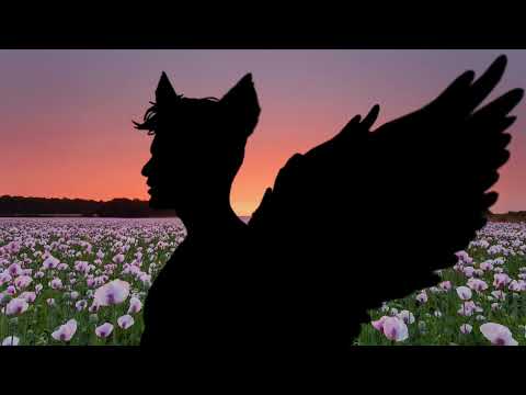 Therian meditation|Let's grow parts of our theriotypes (Phantom shift)