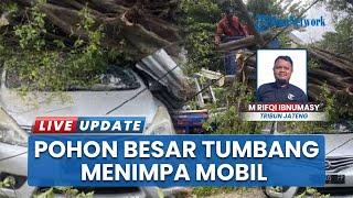Pohon Tumbang di Undip Menimpa Mobil Nissan Grand Livina yang Terparkir, Tiang Listrik Ikut Patah