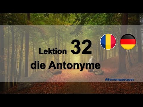 Germana pas cu pas - Lectia 32 - Antonime