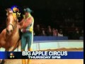 Big Apple Circus