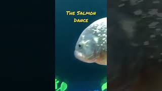 The Chemical Brothers - The Salmon Dance #nostalgia #2000s #shorts