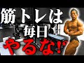 【筋肉】時間がなくて筋トレができなくても不安を感じるな！安心しろ！日体大准教授が解説します！