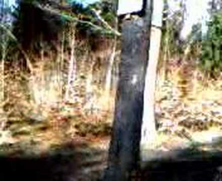 Stempelstelle 171 Mittelweg Langenberg - Harzer Wandernadel