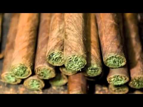 Everyday Is 420 (A-GAME Picasso Punk)