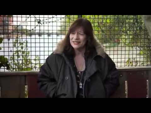 Der Kanzlersturz - Die Wende von 1982 - Teil 1