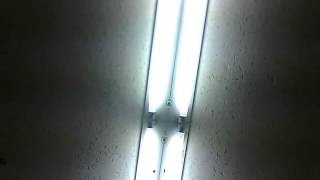 Hi-standard In The Brightly Moonlight