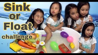 Sink or Float/ Educational Video for Kids with Sam and Sabel