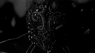 Cover art for Medusa