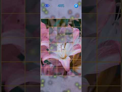 Spin Puzzle