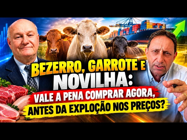 Boi Gordo e Reposição em Foco, com Vlamir Brandalizze e Moacir Naves.