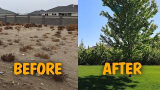 From Zero To Hero: I Created The Yard & Garden Of My Dreams