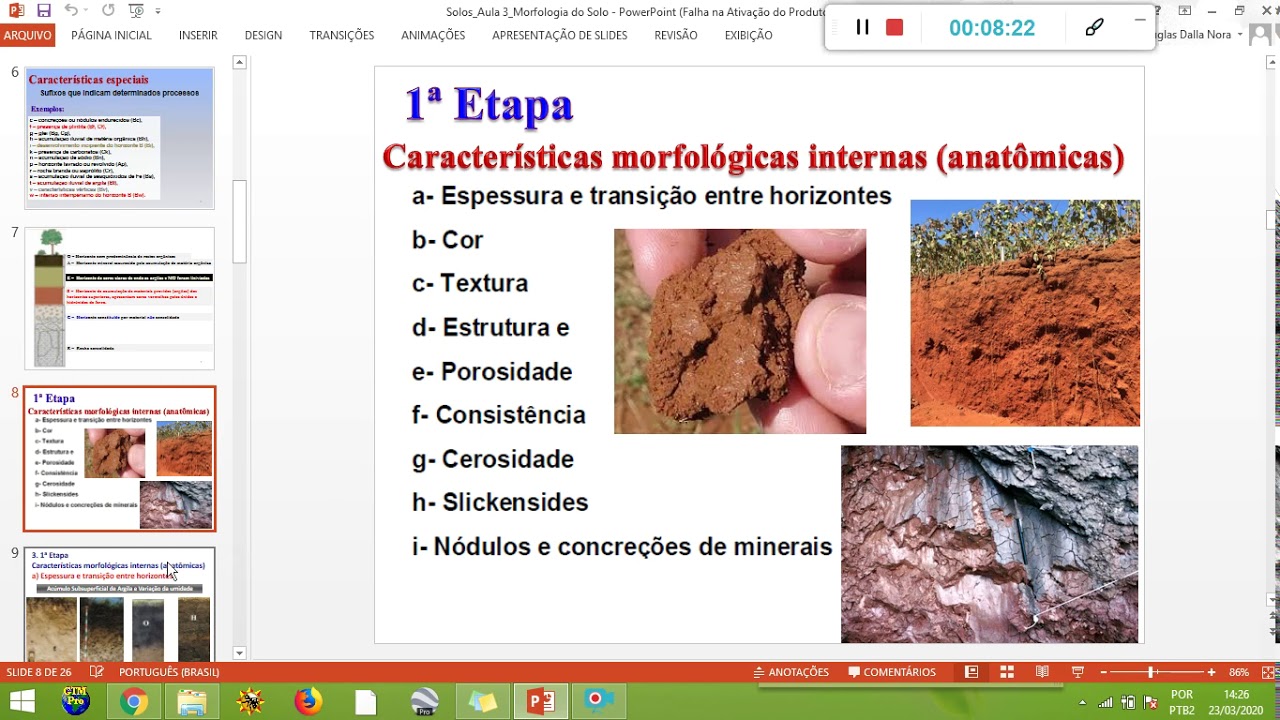 Solos Morfologia do Solo