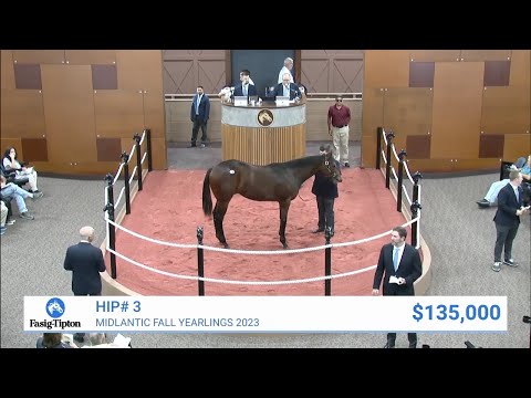 Classic Empire colt sells for $135,000 at Midlantic Fall Yearlings (2023)
