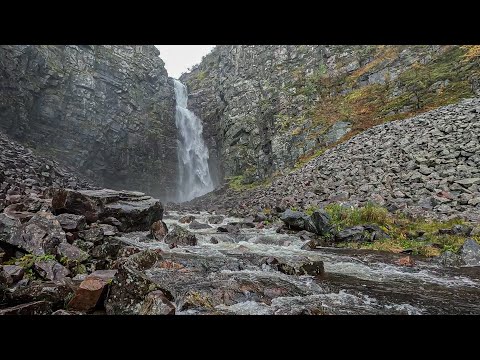 One rainy day in Fulufjället national park.