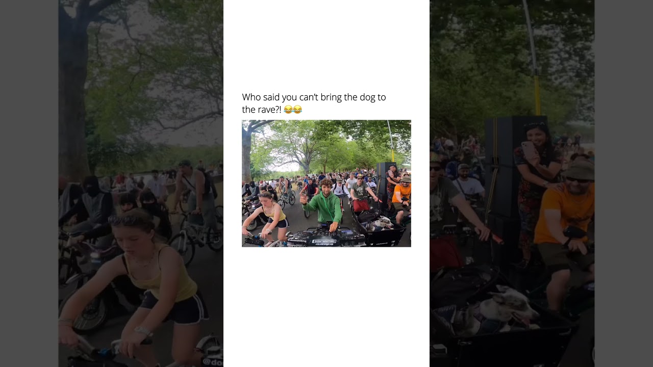 I’ve seen it all on these rides 👏 #viral #dogshorts #dog #fyp #cycling #animals #funny #memes #dnb