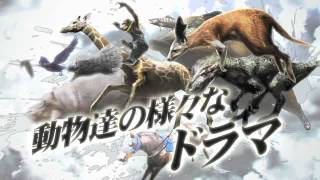 Tokyo Jungle video 2