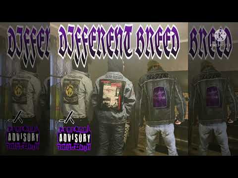 NLR Mane - Different Breed (Ft. DR.GRAVITY X TOOTER) (Prod. KenkBeats)
