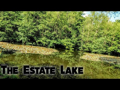 Carp Fishing On An Old Estate Lake