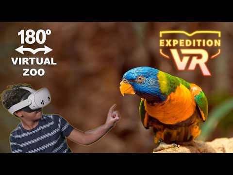 Up Close with the Wild 180° | Expedition VR