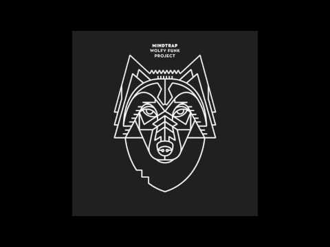 Wolfy Funk Project - Funky OrgaNsm (album version)