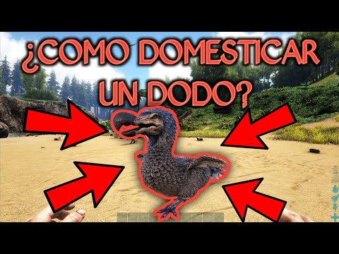 🛑Como TAMEAR un DODO en ARK Survival Evolved || Domesticar un dodo || Guía ark🛑