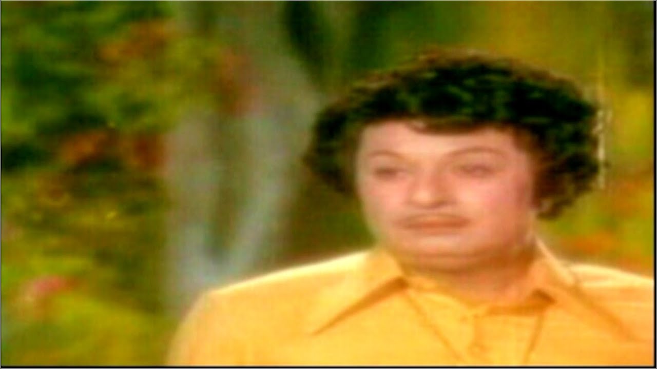 Maanum Odi Varalaam Song Lyrics | Navarathinam