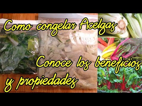 Acelga, lechuga y espinaca, cómo conservarlas en el refrigerador - UnoTV