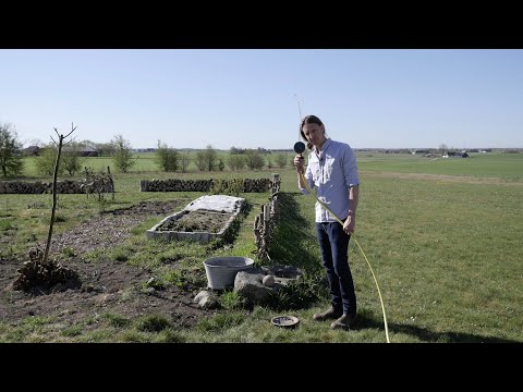 Få fåglarna att plaska i din trädgård - Trädgårdshacks med GardenR