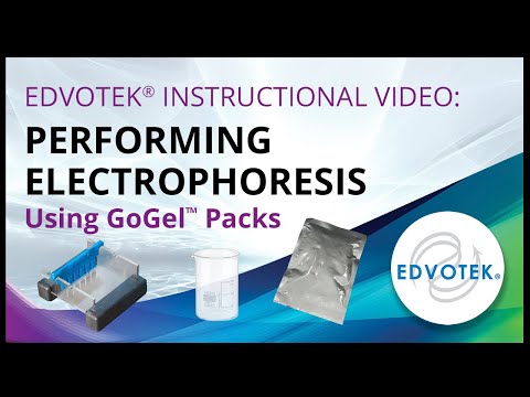Edvotek Instructional Video: Performing Electrophoresis Using GoGel Packs