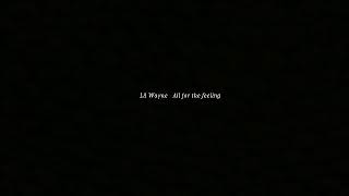Lil Wayne - All for the feeling (lyrics)