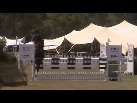 2015.11.01 Wild Kodiak (Codi) Polo International Horse Trials CIC 1* SJ