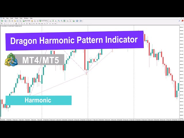 Understanding the Dragon Harmonic Pattern Indicator for MT4/5 | Magica