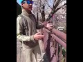 Yang serius ingin magang kerja ke jepang.simak video dari jepang ini
sampai akhir dengan baik ya Yang serius ingin magang kerja ke jepang.simak video dari jepang ini
sampai akhir dengan baik ya