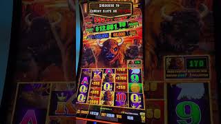 MAX BET on BUFFALO CASH! 🦬💰🎰 BIG WIN POTENTIAL!