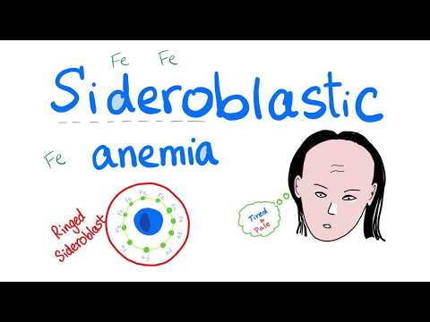 Sideroblastic Anemia - Lead Poisoning - Vitamin B6 Deficiency - Ringed Sideroblasts - Hematology