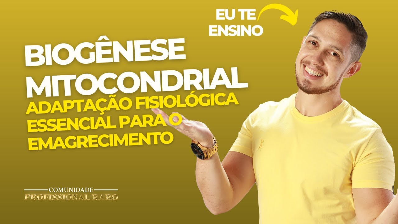 Musculação, AMPK e Biogênese Mitocondrial