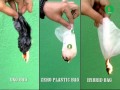 Comparison of Zero Plastic Bags vs Other ...