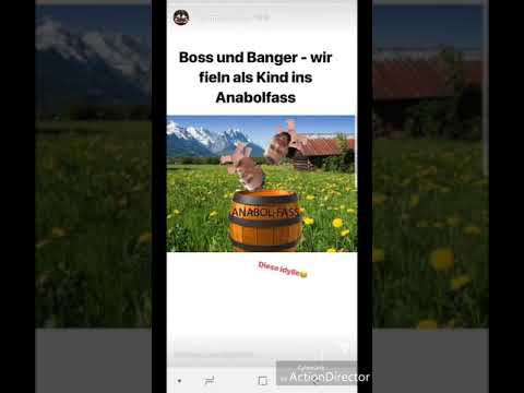 Kollegah| Rap Zitate Bildlich dargestellt (Lachkrampf)