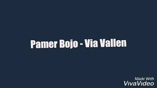 Pamer Bojo - Via Vallen (LIRIK)