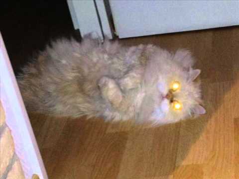 Dj Antention - Fire Boss ( Original Mix )