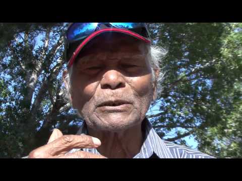 The Tiwi Story