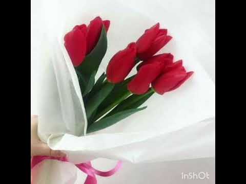 फुल दिई तिमीलाई❤️Phoola Diye Timilai❤️