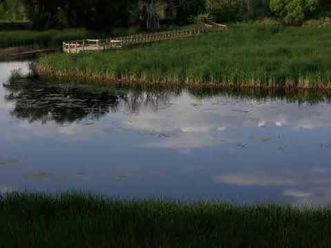 Bluff Lake Nature Center | Wikipedia audio article