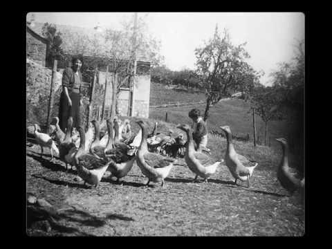 Aval, aval, lo lòng del rivatèl…