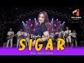 SIGAR SHINTA ARSINTA MELEK O SAYANG AKU SENG BERJUANG OFFICIAL LIVE MUSIC VIDEO