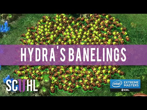 Hydra's Mass Banelings - WCS Winter Championship
