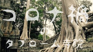 コロナ禍のタプローム寺院 [シェムリアップ・カンボジア]