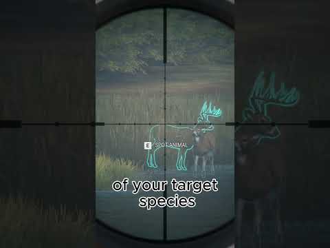 Herd Management Explained in 30 Seconds