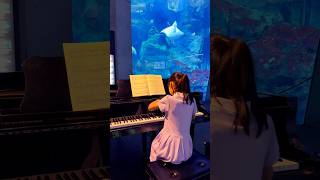Download lagu うみたまご🐠🪼🐬#piano #ピアノ #エイ #liszt #Waldesrauschen #ストリートピアノ #リスト #森のざわめき #小学生ピアノ mp3 Download lagu うみたまご🐠🪼🐬#piano #ピアノ #エイ #liszt #Waldesrauschen #ストリートピアノ #リスト #森のざわめき #小学生ピアノ mp3