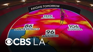 Dani Ruberti’s NEXT Weather forecast | Aug. 24
